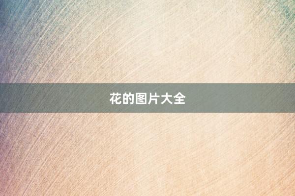 花的图片大全