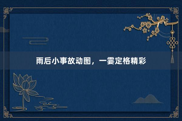 雨后小事故动图，一霎定格精彩